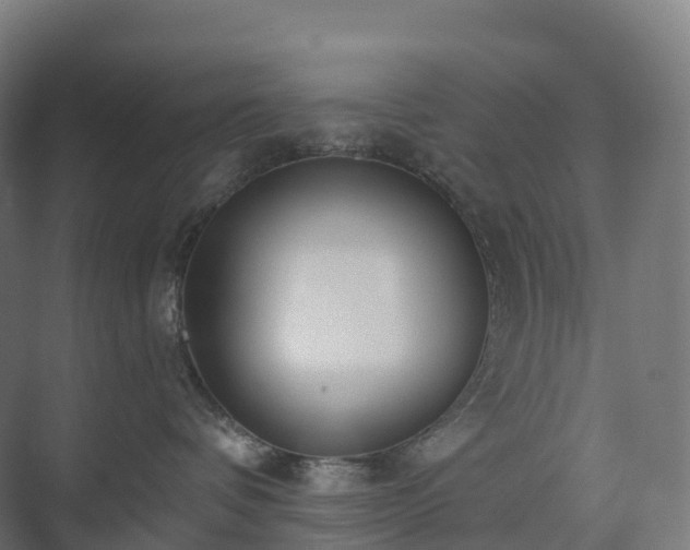 X0000073520336200608071128