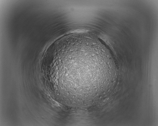 X0000073520337200608071127