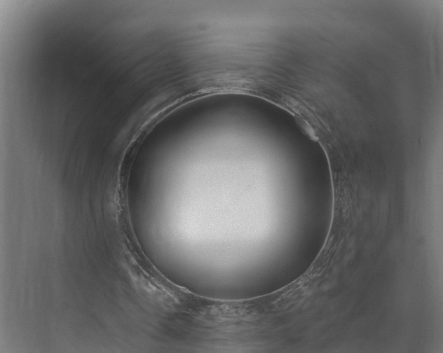 X0000073520338200608071127