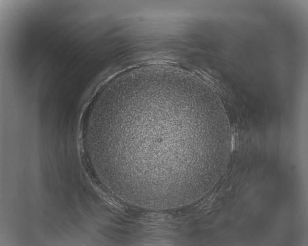 X0000073520339200608071127