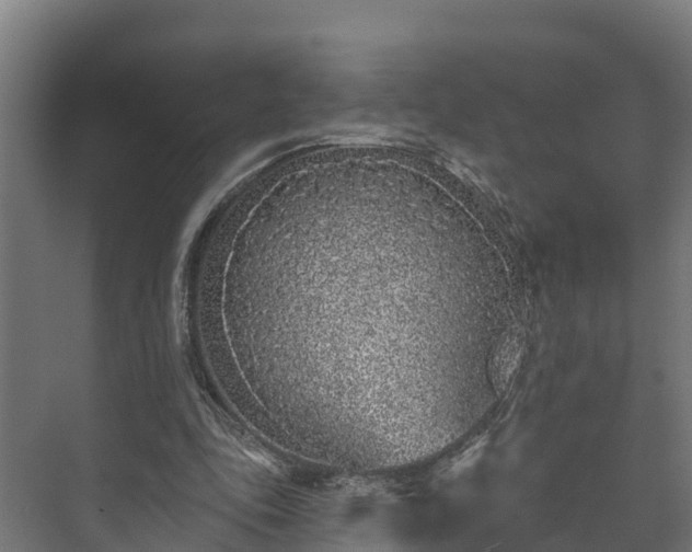 X0000073520343200608071127