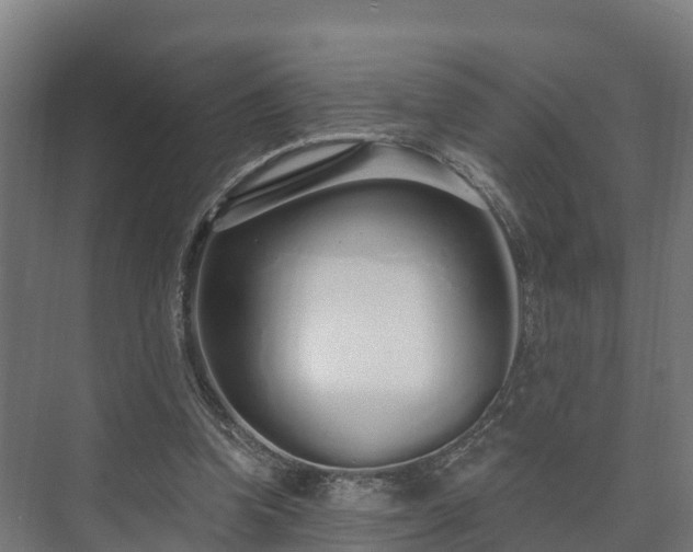 X0000073520346200608071127