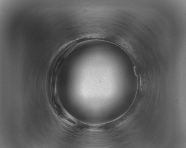 X0000073520348200608071127