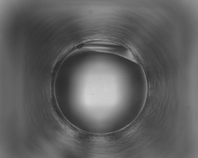 X0000073520349200608071127