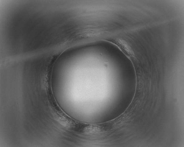 X0000073520354200608071127