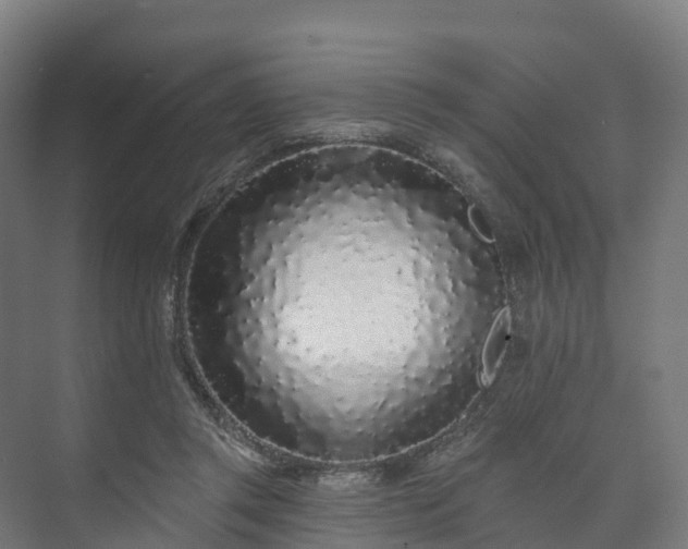 X0000073520357200608071127