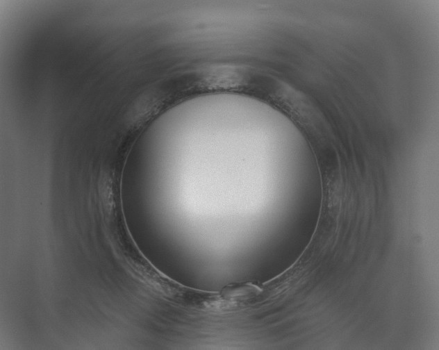 X0000073520362200608071128