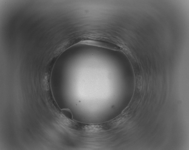 X0000073520378200608071128