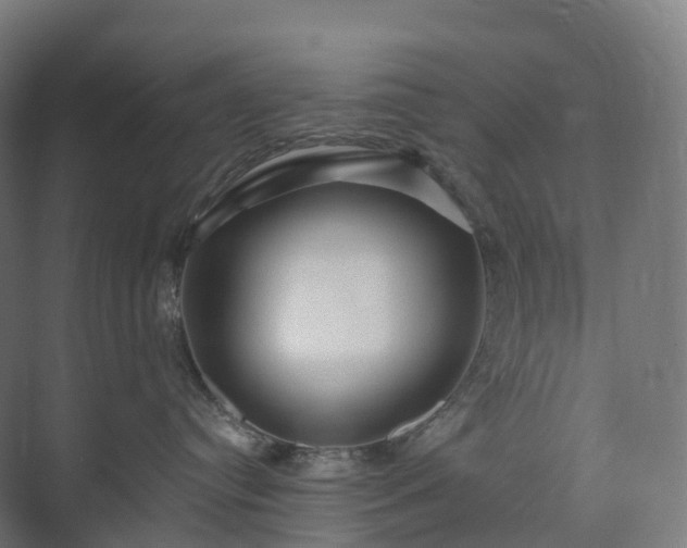 X0000073520384200608071128