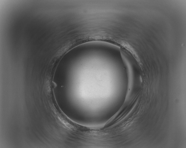 X0000073520393200608071127