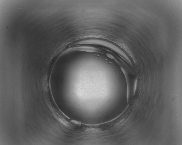 X0000073520397200608071127