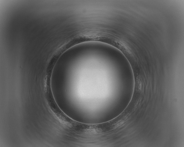 X0000073520404200608071127