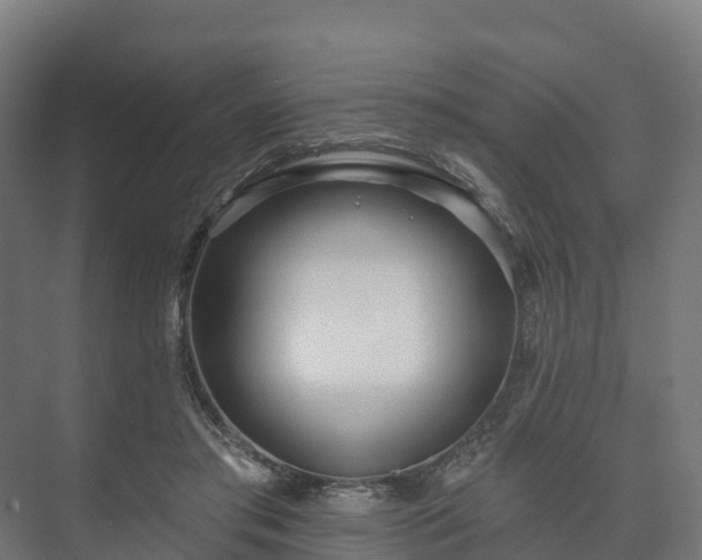 X0000073520405200608071127
