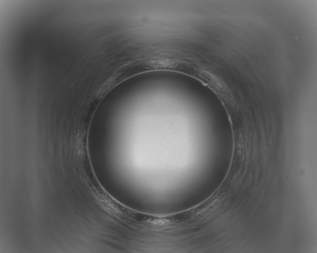X0000073520409200608071127