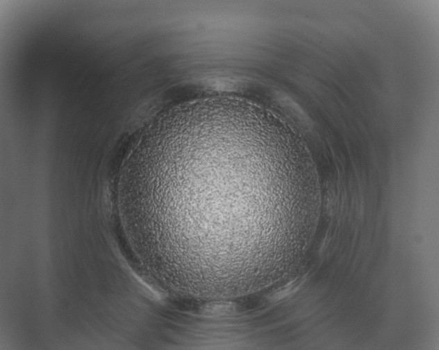 X0000073520410200608071127