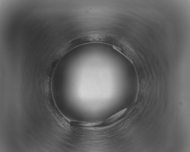 X0000073520413200608071127