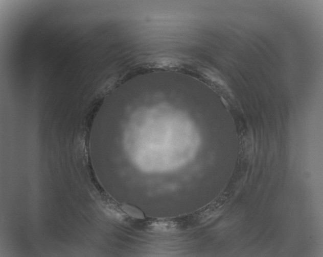 X0000073520415200608071127
