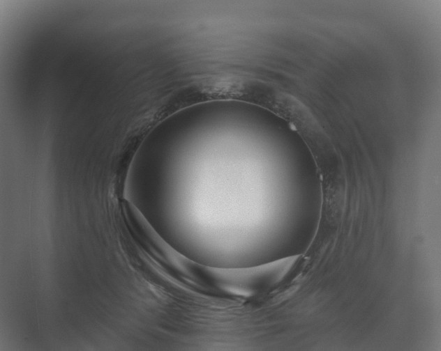 X0000073520416200608071127