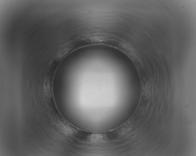 X0000073520418200608071127