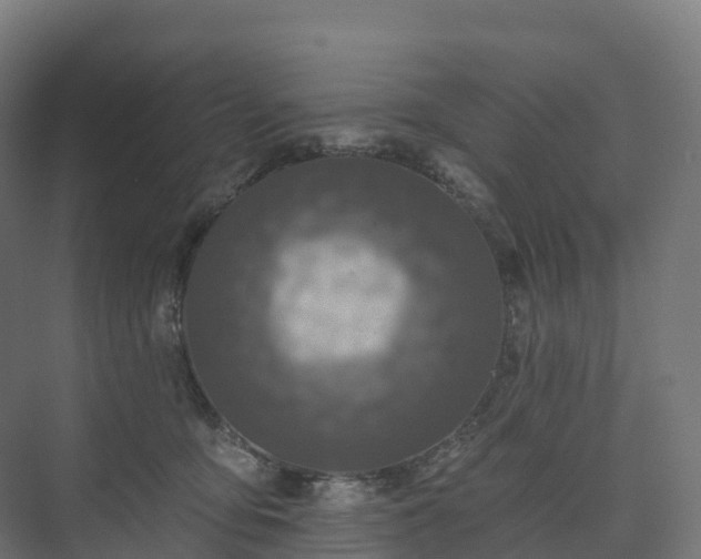 X0000073520419200608071127