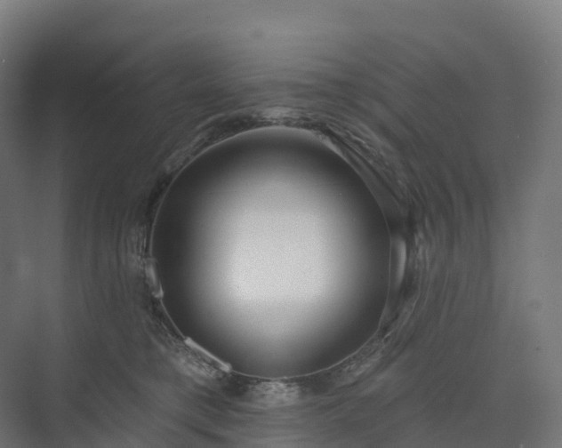 X0000073520421200608071126