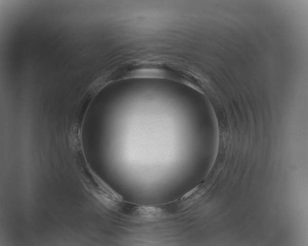 X0000073520429200608071126