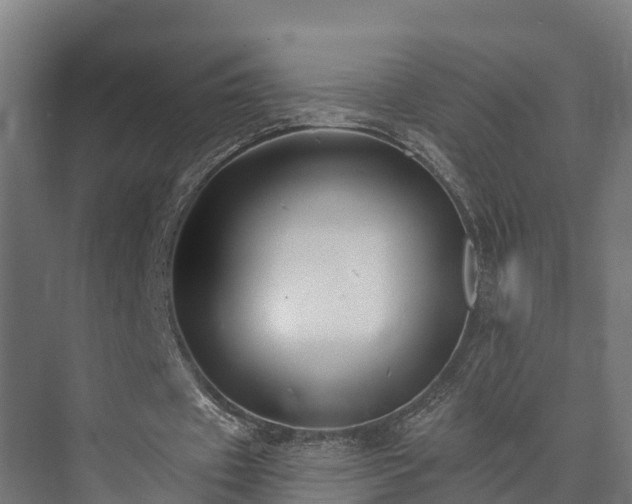 X0000073520433200608071125