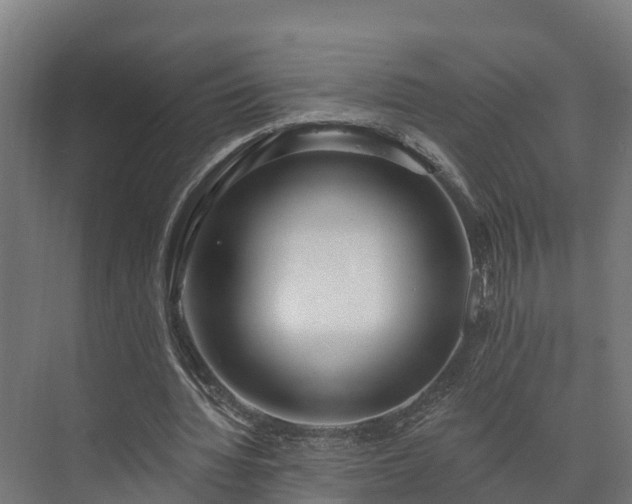 X0000073520436200608071126