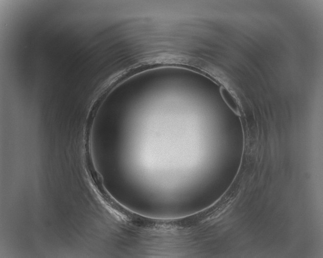 X0000073520437200608071126