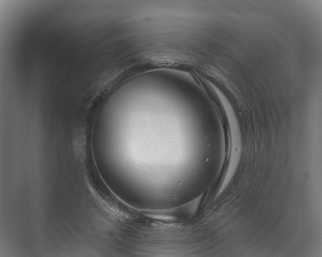X0000073520448200608071126