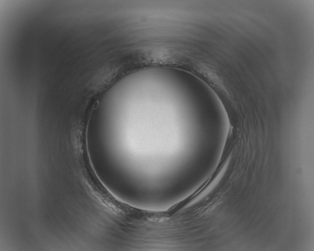 X0000073520450200608071126