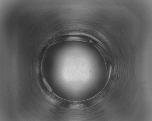 X0000073520452200608071126