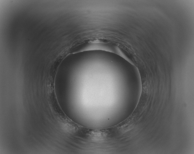 X0000073520464200608071126