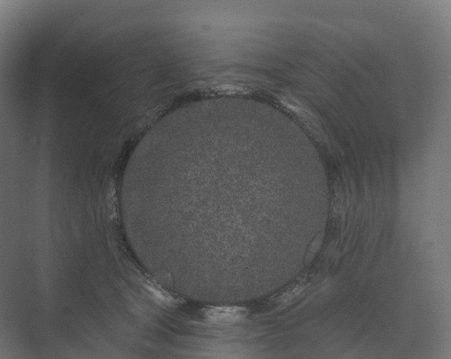 X0000073520465200608071126
