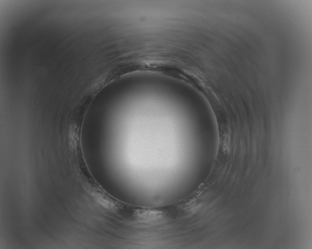 X0000073520476200608071126