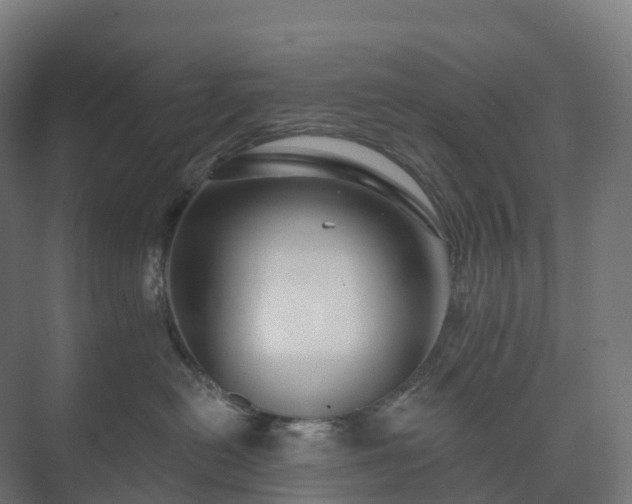 X0000073520478200608071126