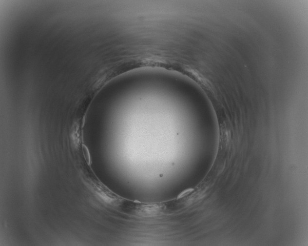 X0000073520479200608071126