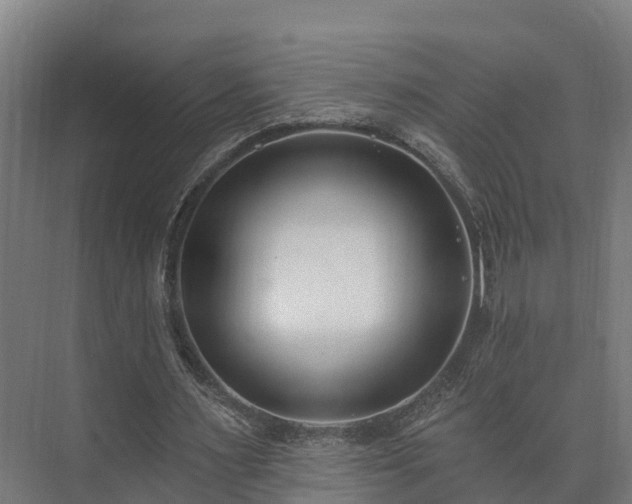 X0000073520483200608071125