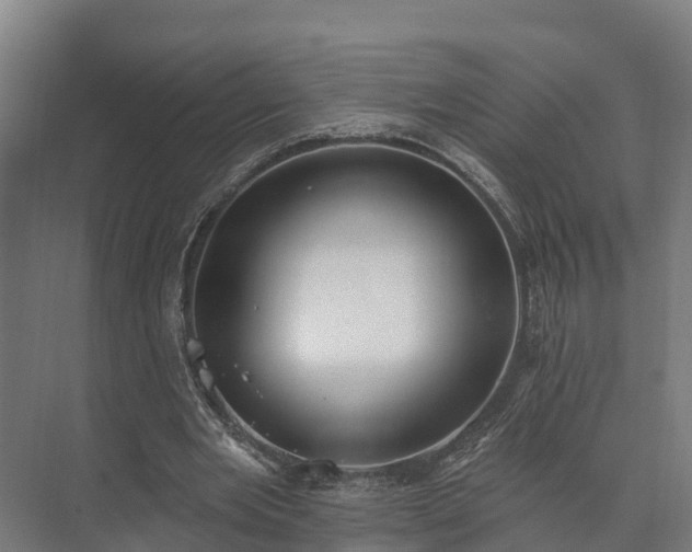 X0000073520485200608071125