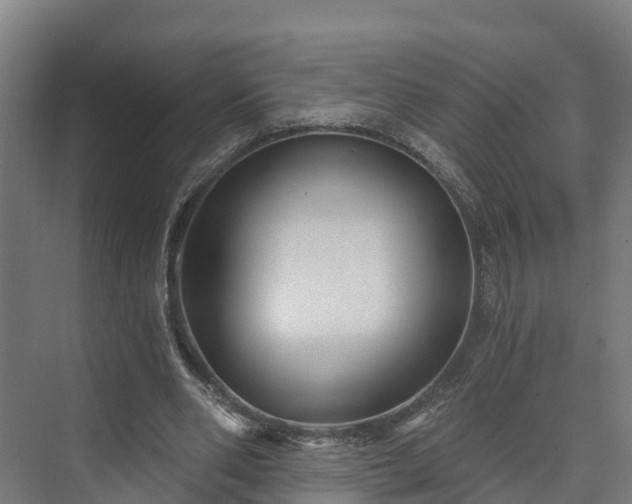 X0000073520486200608071125