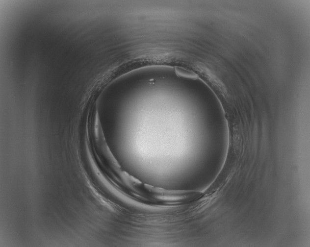 X0000073520493200608071125