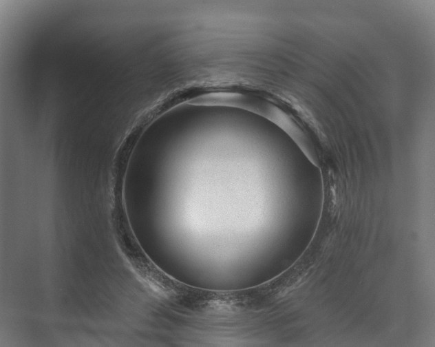 X0000073520496200608071125