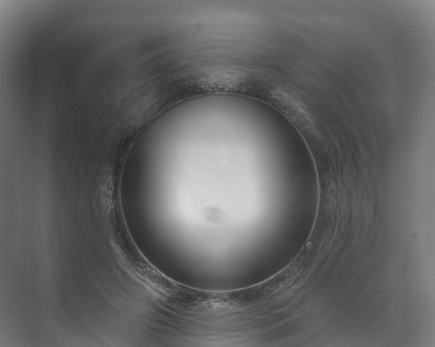 X0000073520498200608071125