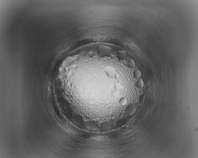 X0000073520499200608071125
