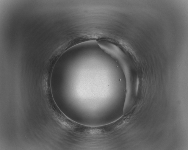 X0000073520501200608071125