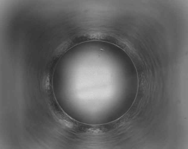 X0000073520502200608071125