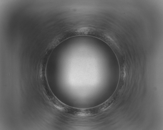 X0000073520504200608071125