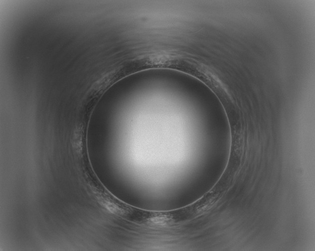 X0000073520505200608071125