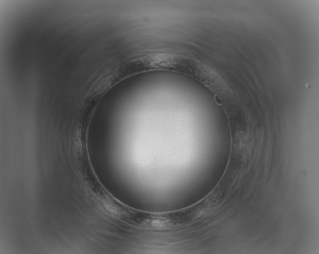 X0000073520506200608071125