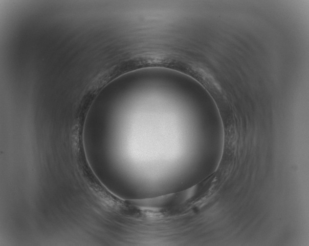 X0000073520509200608071125